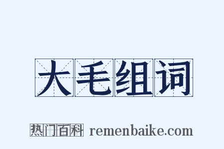 大毛组词是什么意思的图片
